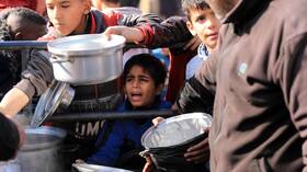أكثر من مليون شخص يعانون سوء التغذية في غزة