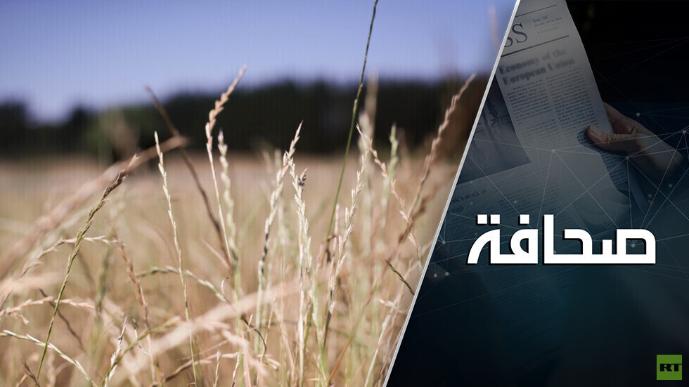 القمح الروسي يضعف النفوذ الفرنسي في الجزائر