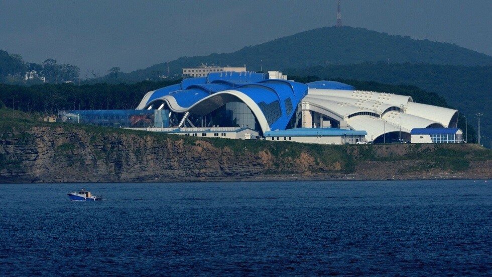 "التوالد العذري".. أنثى الراي اللساع تنجب ذرية من دون ذكر في بريموريه