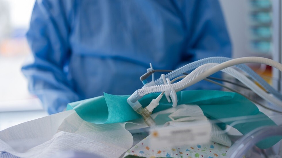 مسؤول أممي: لم يعد ثمة "مواليد بحجم طبيعي" في قطاع غزة