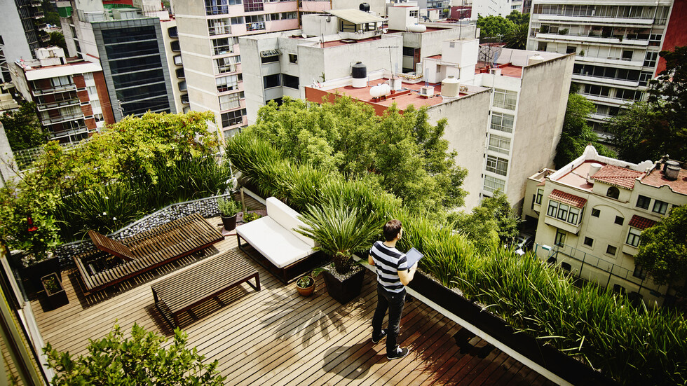 اكتشاف صلة بين قوة العظام والمكان الذي تعيش فيه