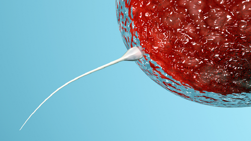 آلية دفاعية تمنع تخصيب البويضة بأكثر من حيوان منوي واحد