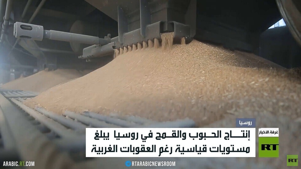 القمح الروسي.. الريادة زمن العقوبات