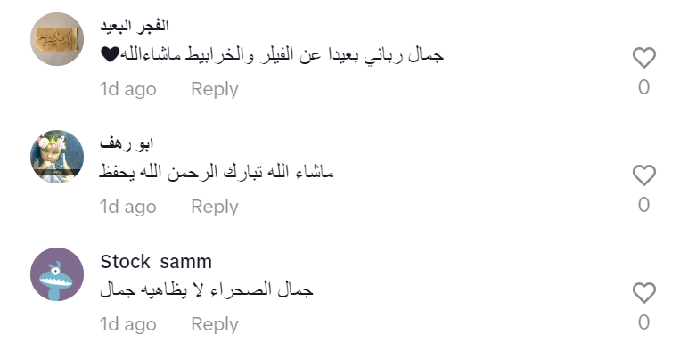 حسناوات عربيات بالزي الصحراوي يثرن تفاعلا على مواقع التواصل (فيديوهات)
