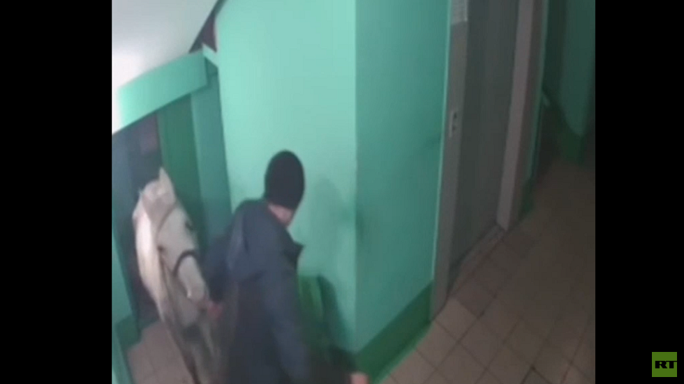 روسي يفاجئ جيرانه باصطحابه حصانا إلى شقته! (فيديو)