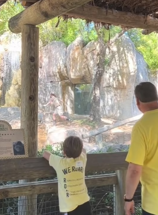 لحظات مرعبة.. غوريلا تطارد امرأتين في حديقة حيوان بولاية تكساس الأمريكية (فيديو)