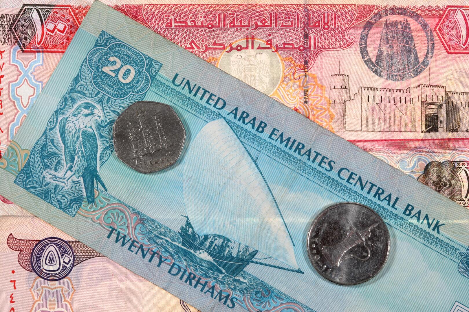 مسؤول يكشف عن حجم الاستثمارات الإماراتية في مصر ويتحدث عن أكبر صفقة على مر التاريخ