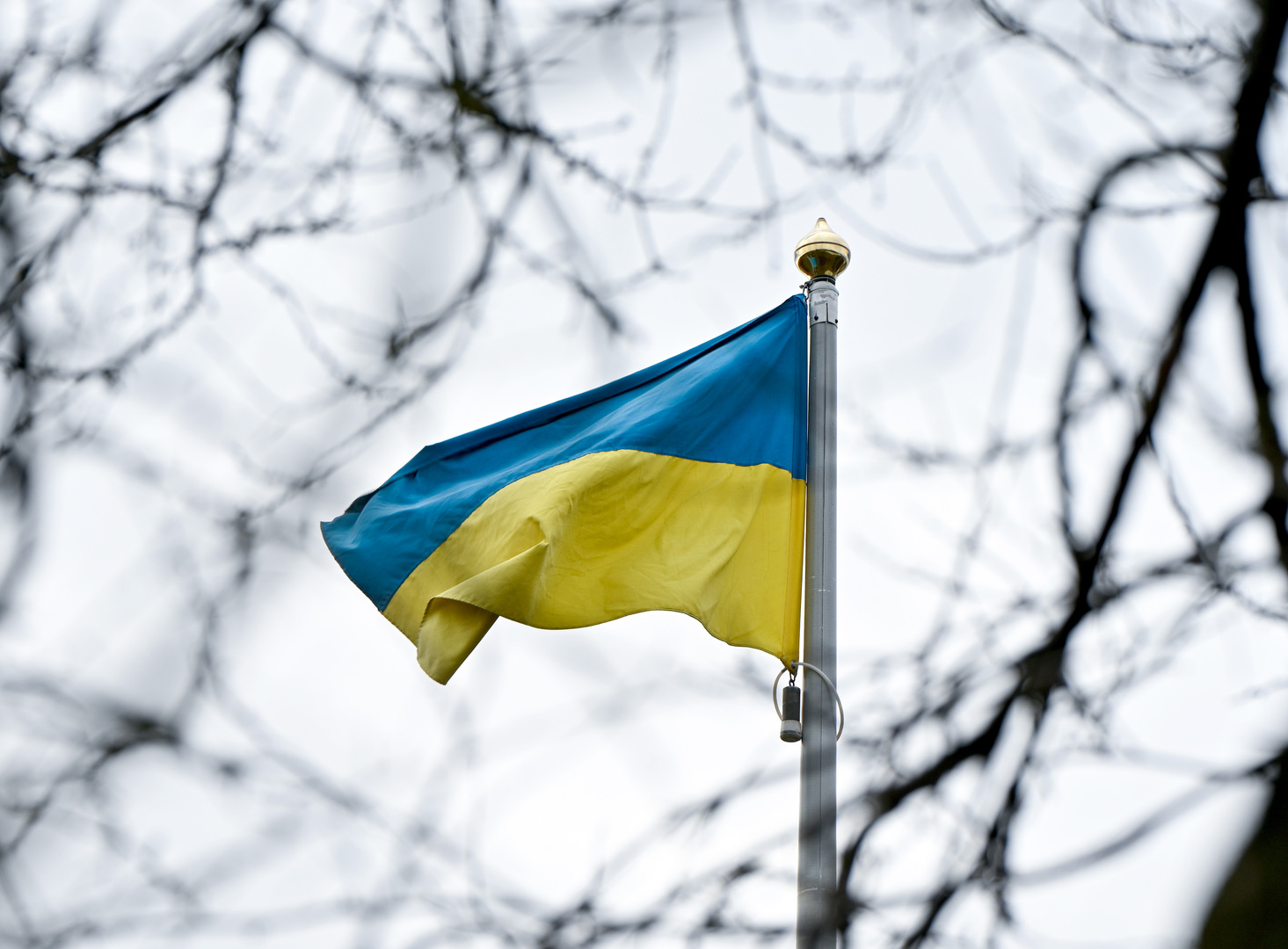 رويترز: أوكرانيا قد تلغي قائمتها لـ