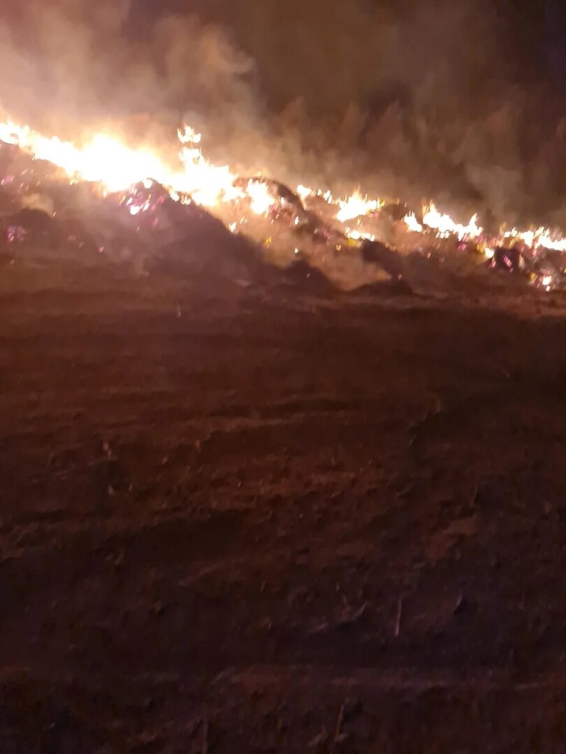 مصر.. حريق كبير يلتهم مزارع بالقصاصين في الإسماعيلية (صور + فيديو)