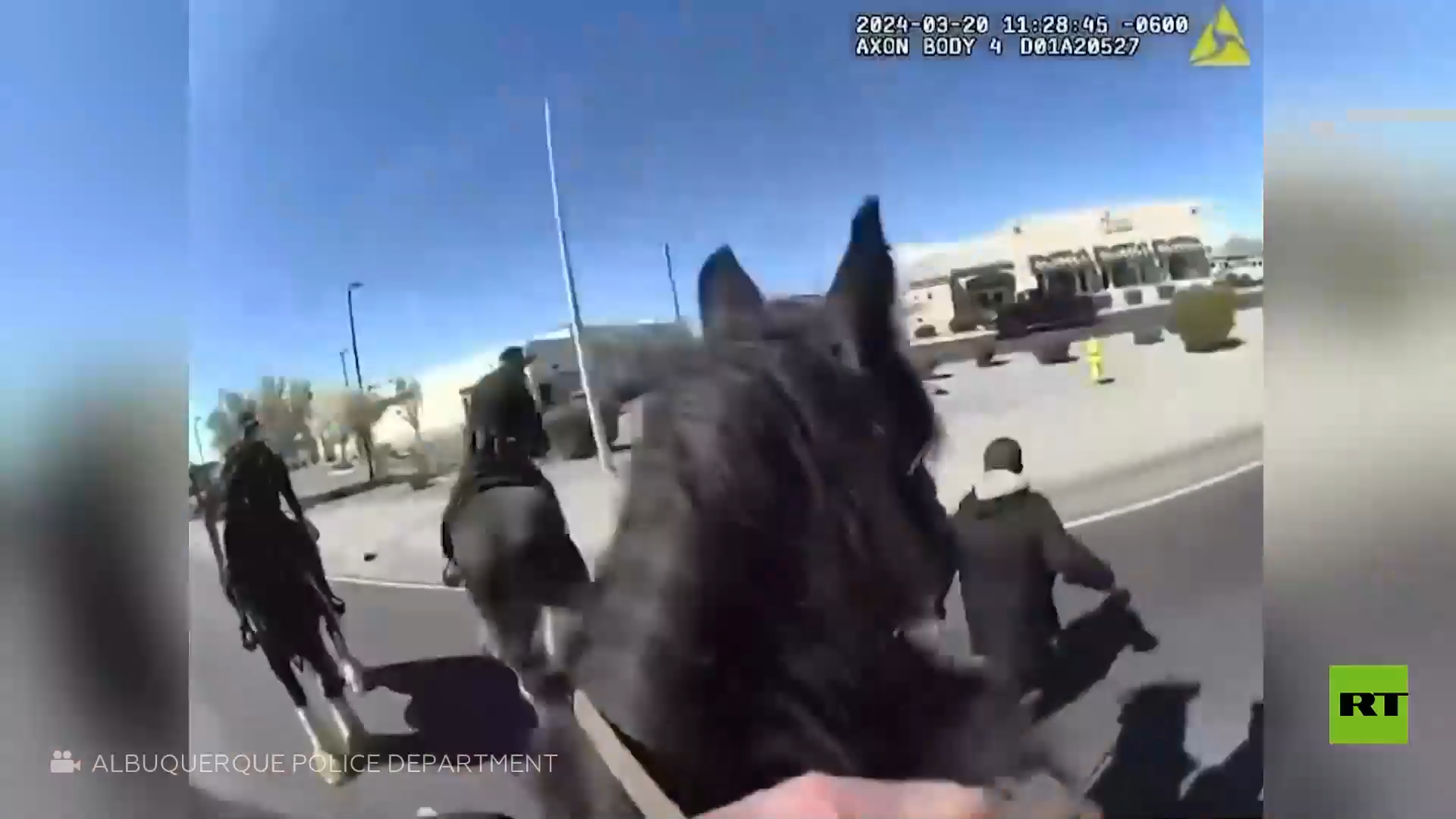شاهد.. شرطي أمريكي يطارد لصا على ظهر حصان