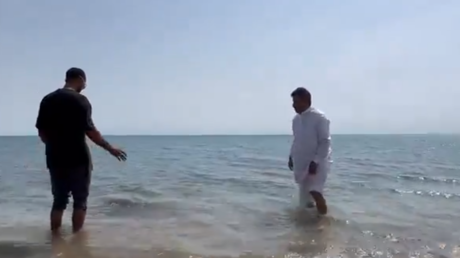 شاهد.. لحظة إنقاذ سلحفاة ابتعدت عن الشاطئ في السعودية (فيديو)