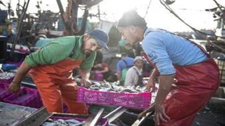 محكمة أوروبية تؤيد حكم إلغاء اتفاقية لصيد الأسماك بين المغرب وأوروبا