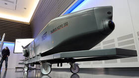 "فيلت": ألمانيا تحدث صواريخ "توروس" وتضعها في حالة الاستعداد القتالي