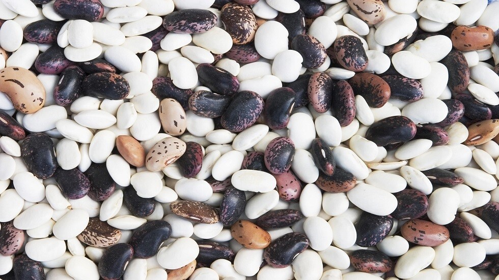 فوائد الفاصولياء بأنواعها الثلاثة