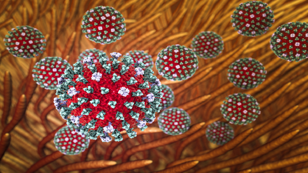 تحذير جديد من 