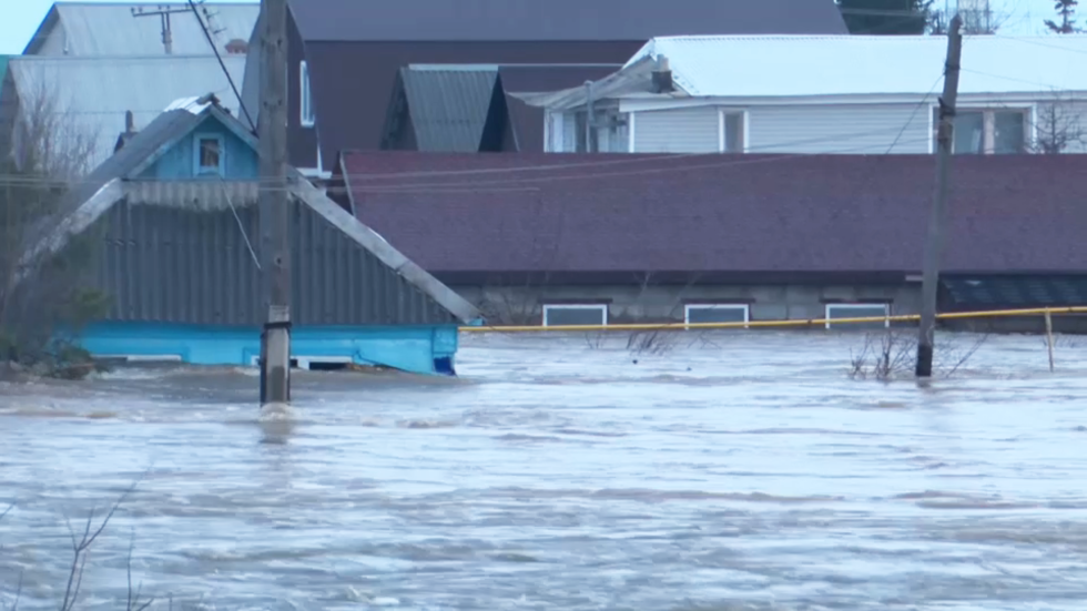 شاهد.. إنقاذ قطة حصرت في أعلى سقف منزل مغمور بالمياه جراء الفيضانات في أورينبورغ الروسية