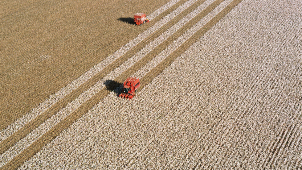 "زارا" و"إتش آند إم" في مرمى اتهامات بالعنف والاستيلاء غير القانوني على الأراضي في البرازيل