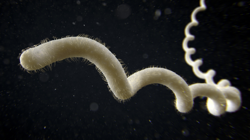 نيويورك تصدر تحذيرا صحيا من "مرض فتاك"