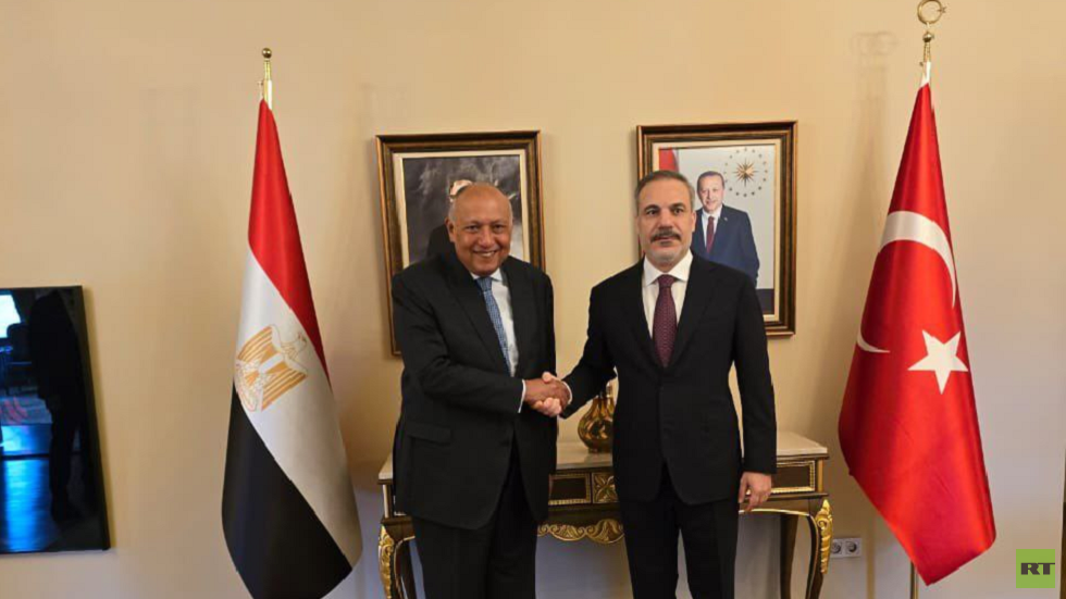 شكري يجري محادثات في تركيا