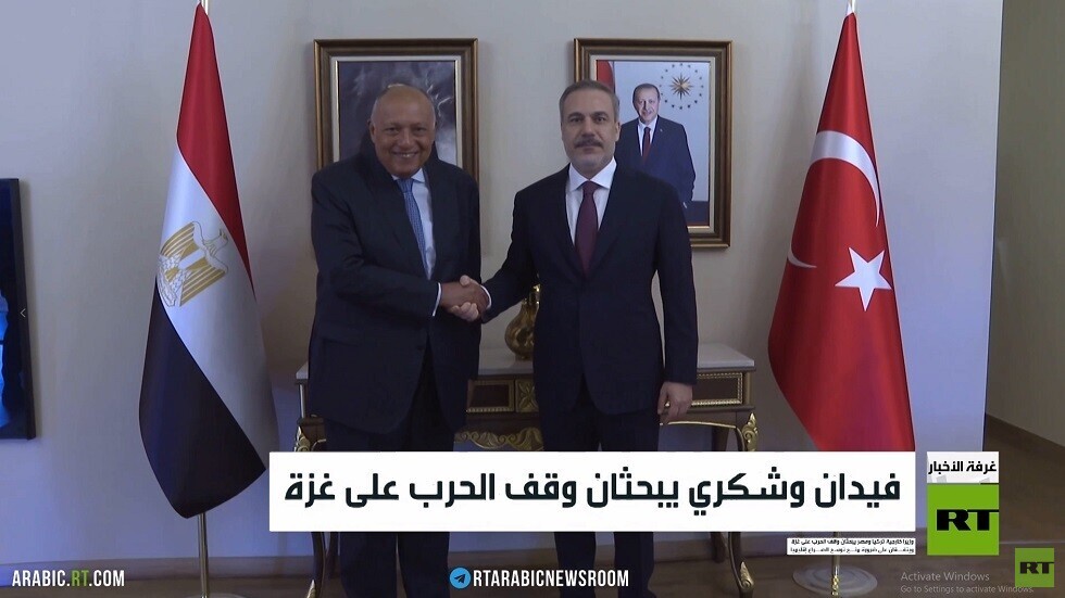 فيدان وشكري يبحثان وقف الحرب على غزة