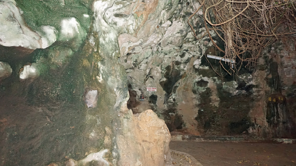 "الكهف الأكثر دموية في العالم" الذي قد ينشر الوباء القادم