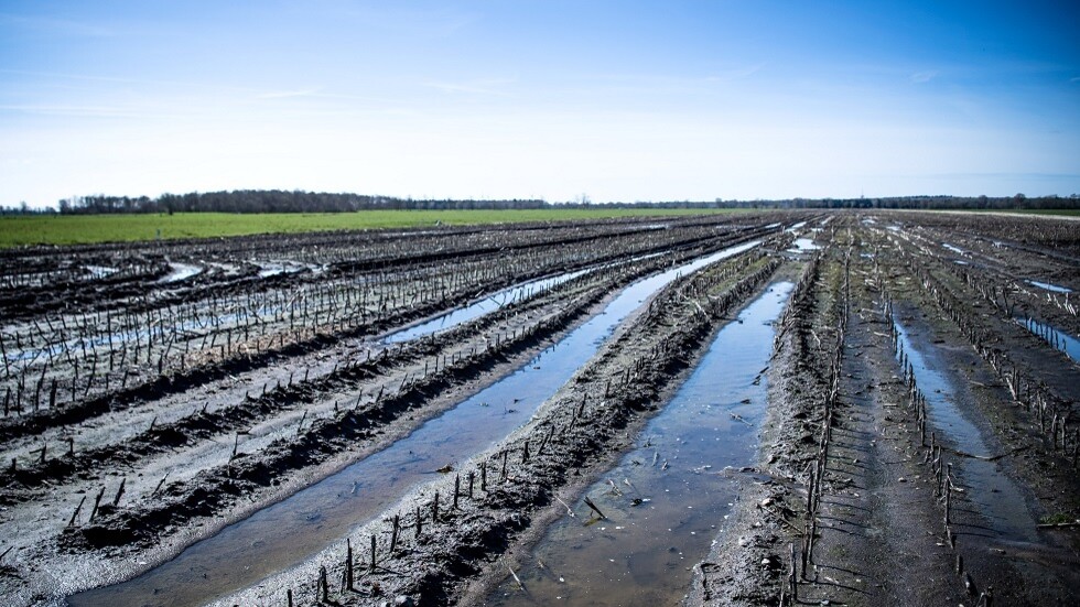 قانون "استعادة الطبيعة" في أوروبا مهدد بالفشل والعلماء يحذرون من الإجحاف بحق المزارعين