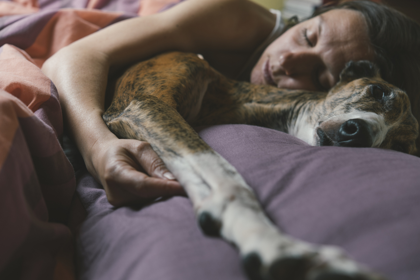 هل تؤثر مشاركة السرير مع حيوانك الأليف على نومك؟