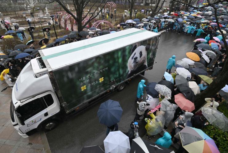 آلاف الكورييين الجنوبيين يودعون الباندا المحبوبة 