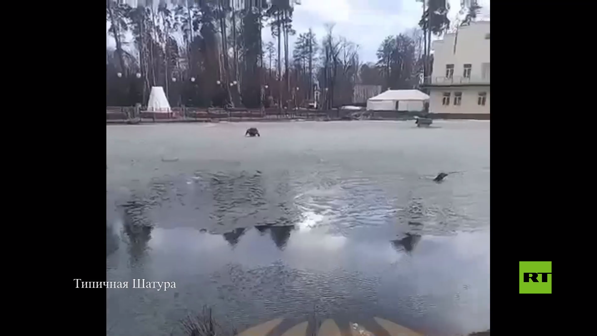 بالفيديو من ضواحي موسكو.. فتاة تخاطر بحياتها لإنقاذ كلبها من بحيرة يغطيها الجليد