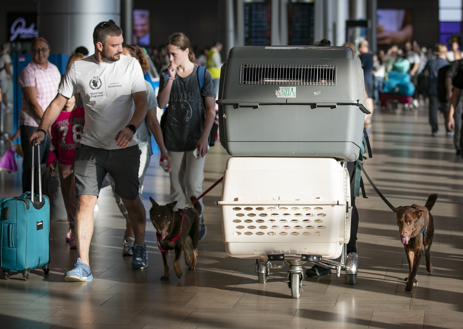 أستراليا تدعو رعاياها إلى مغادرة إسرائيل وفلسطين والسفارة الأمريكية تحذر موظفيها أستراليا تدعو رعاياها إلى مغادرة إسرائيل وفلسطين والسفارة الأمريكية تحذر موظفيها