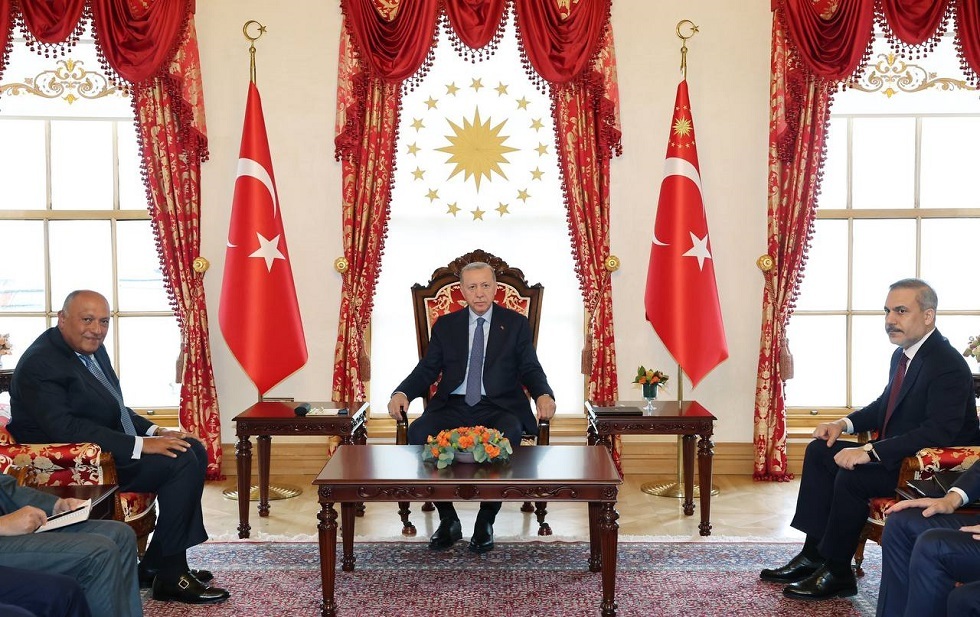 الرئيس التركي رجب طيب أردوغان خلال اسقباله وزير الخارجية المصري سامح شكري
