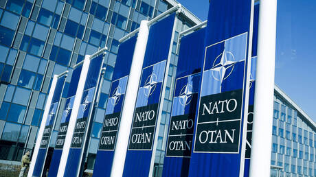 خبير: الانتخابات الرئاسية الأمريكية المقبلة ستحدد مصير الناتو