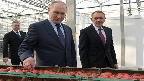 بوتين يوعز بوضع تدابير إضافية لدعم المنتجين الزراعيين