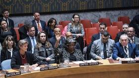 فلسطين تطالب مجلس الأمن بالتصويت على عضويتها الكاملة في الأمم المتحدة
