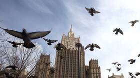 الخارجية الروسية تنتقد خطط السويد لإنشاء قاعدة للناتو في جزيرة غوتلاند