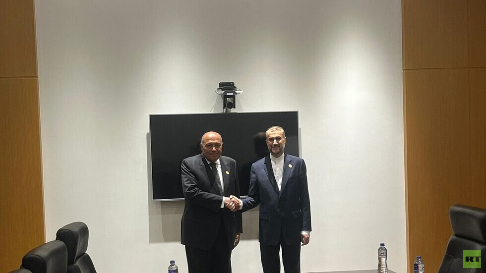 شكري وعبد اللهيان يبحثان الأوضاع في غزة (فيديو)