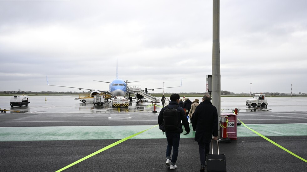 الأمن التركي يعتقل خبيرا أمريكيا حاول تهريب عناكب وعقارب عبر مطار إسطنبول