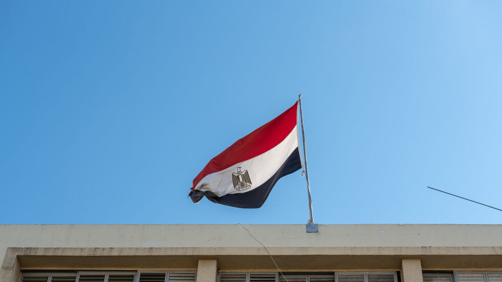 نائبة مصرية: مشاركة القطاع الخاص "يوم أسود في تاريخ الصحة المصرية"
