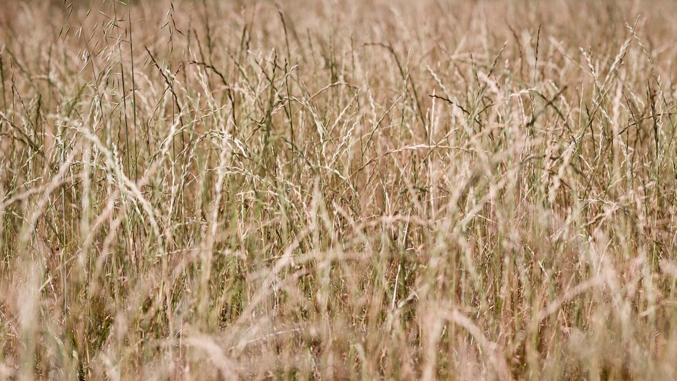 الصقيع في روسيا 