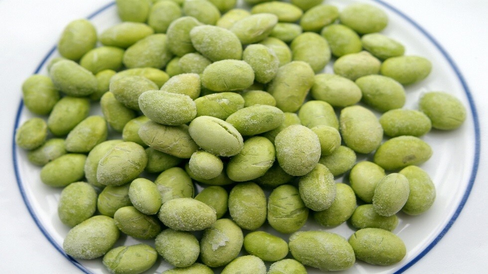 العلماء الروس يحصلون على صنف جديد من فول الصويا سريع النضوج