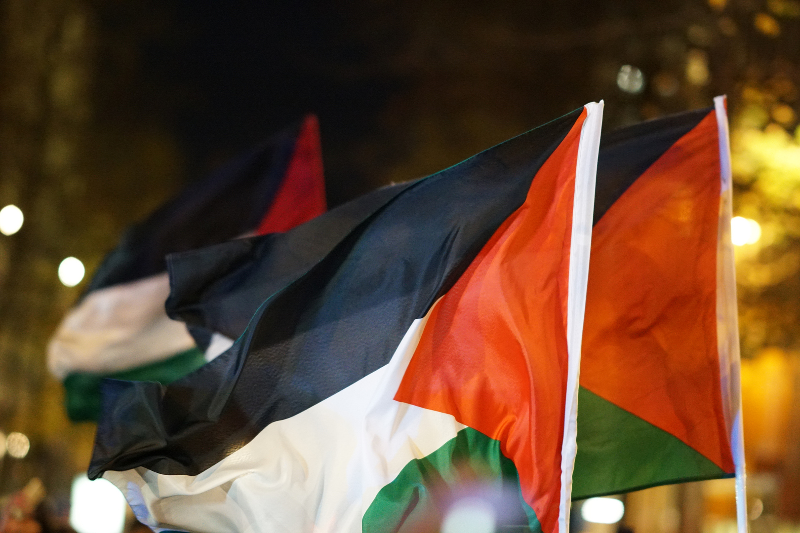 ‏مظاهرات حاشدة داعمة لفلسطين في عدة جامعات أمريكية والشرطة تنتشر لتطويقها (فيديو)