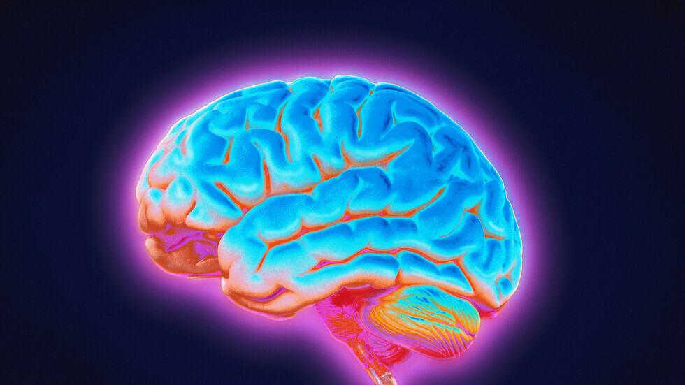 ما الذي يحدث في الدماغ خلال الساعات الأولى من النوم ليلا؟
