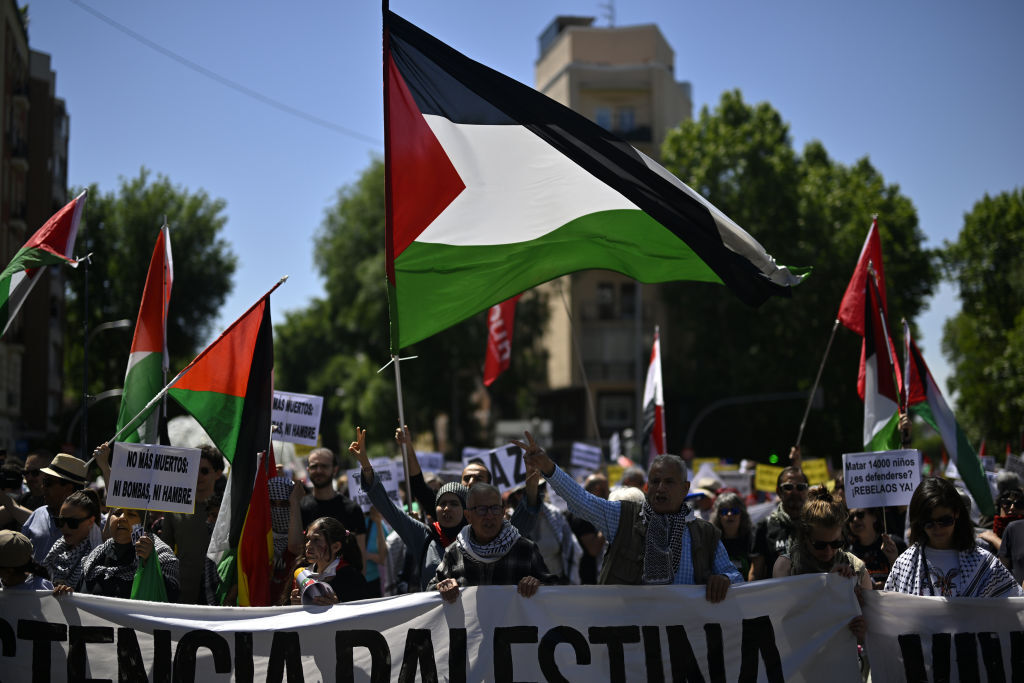الآلاف يتظاهرون في مدريد دعما للفلسطينيين ورفضا للحرب في غزة (فيديو)