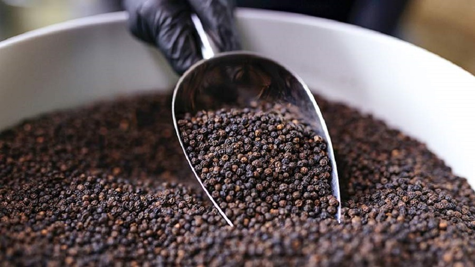 فوائد الفلفل الأسود – RT Arabic فوائد الفلفل الأسود – RT Arabic