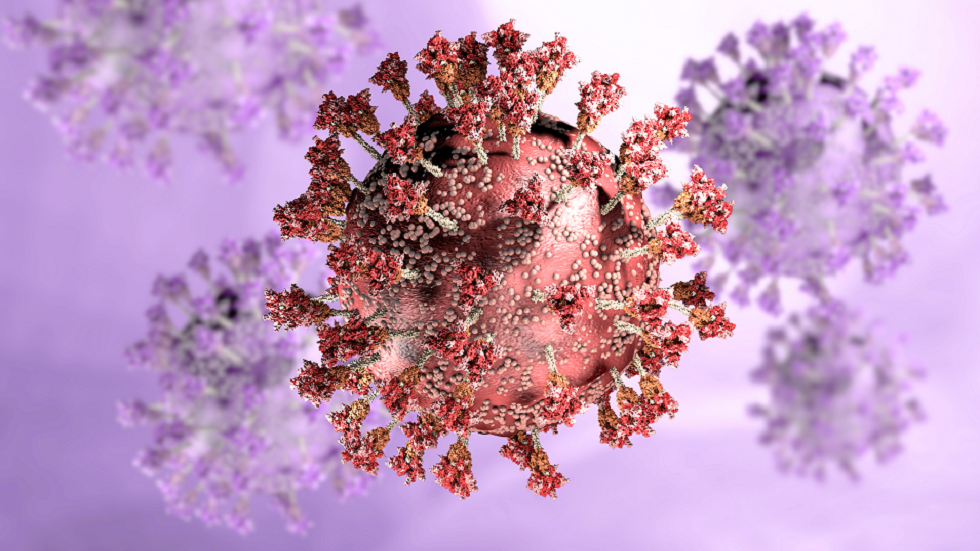 اكتشاف آلية هروب فيروس SARS-CoV-2 من جهاز المناعة