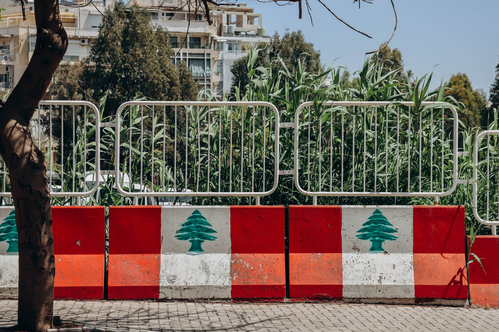لبنان.. القبض على مواطن يسرق السيارات بطريقة 