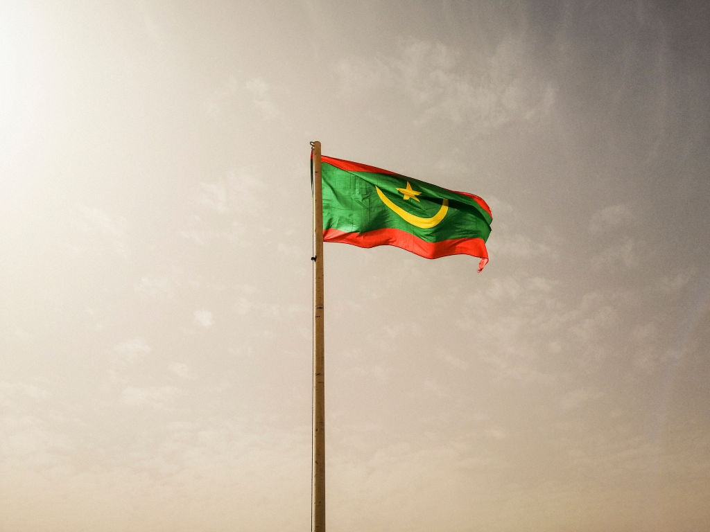 موريتانيا تؤكد اهتمامها بالتعاون مع روسيا في مجال الأمن الغذائي