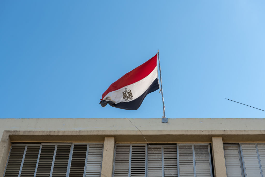 نائبة مصرية: مشاركة القطاع الخاص 