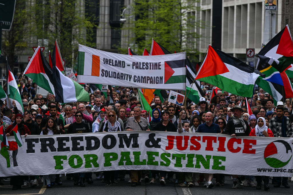 كاتس: اعتراف إيرلندا بدولة فلسطين 