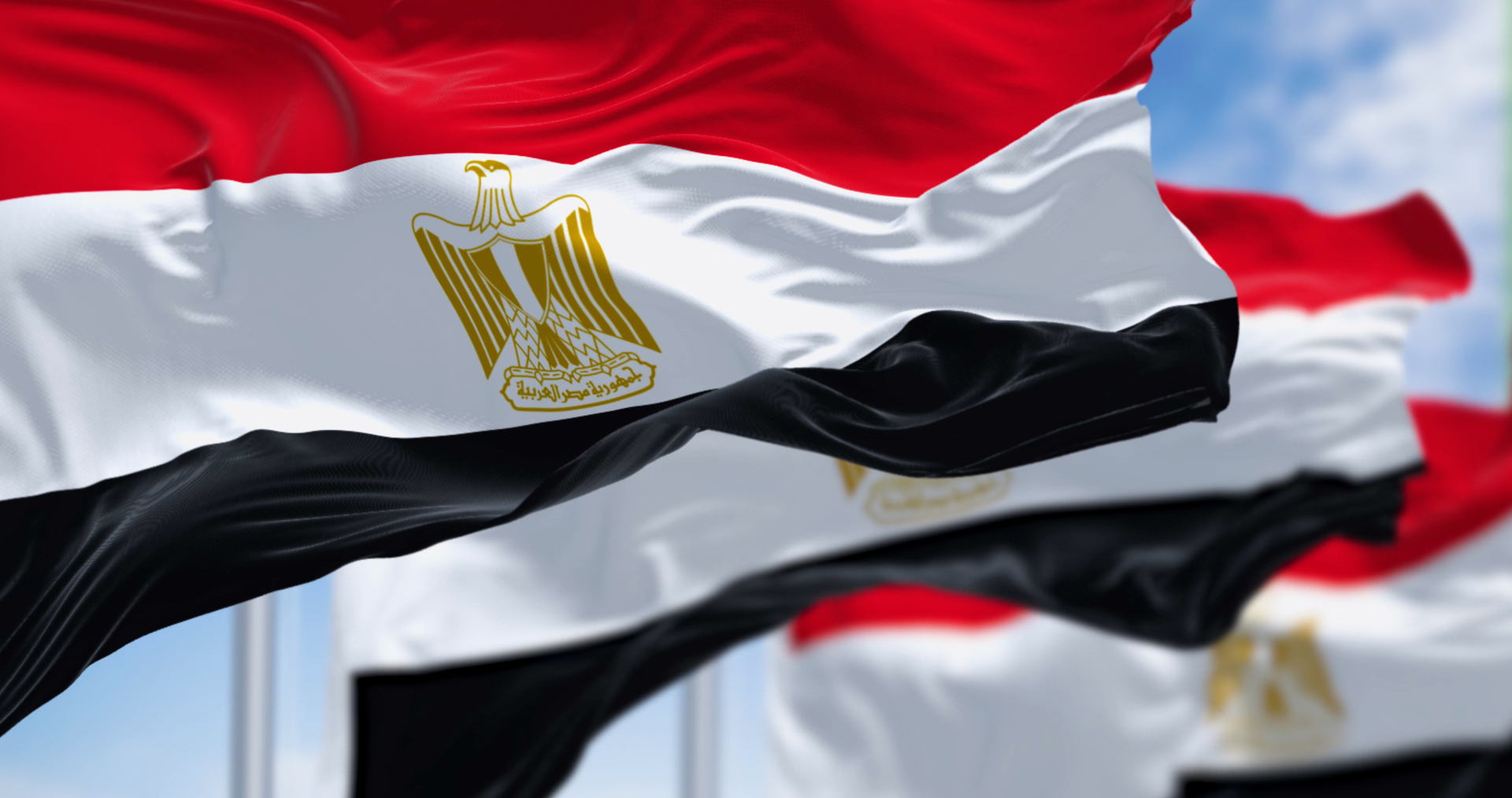 مصر.. القبض على أحمد الطنطاوي لتنفيذ حبسه سنة بقضية 